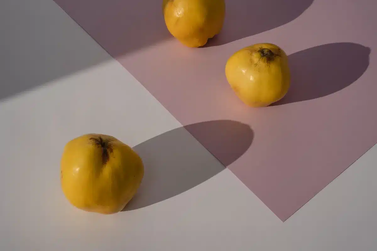 Fruta de membrillo dorado sin procesar, similar a una manzana pequeña
