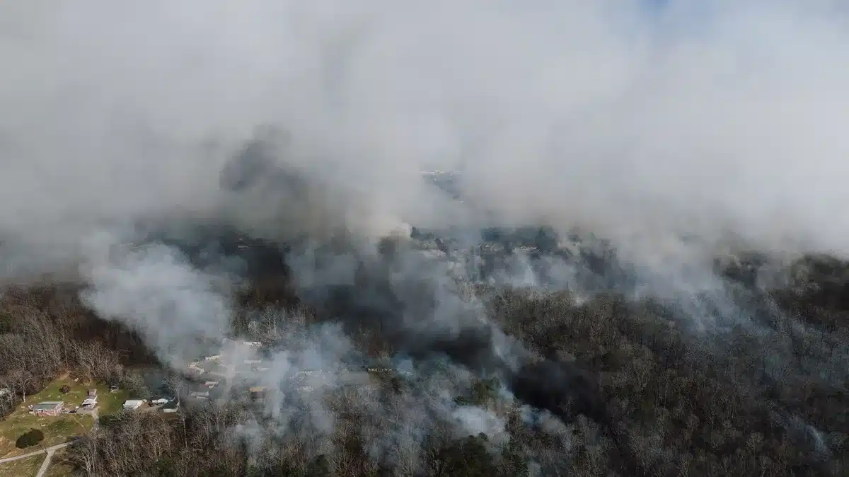 Bomberos trabajando en extinción de incendio forestal con humo denso.